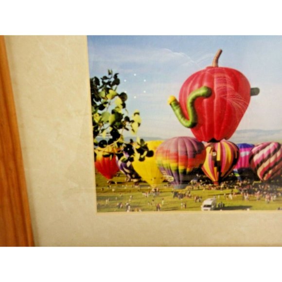 Steamboat Springs Colorado Balloon Rodeo Framed Photo Print Hot Air Balloons - Picture 7 of 7